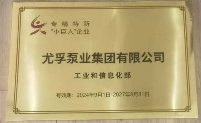 專精特新小巨人企業(yè)